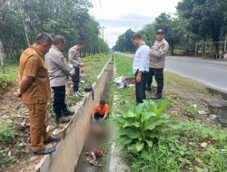 Polsek Sebalawan Evakuasi Temuan Mayat Mr. X Tanpa Identitas yang Ditemukan di Parit Jalinsum