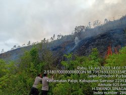 Polsek Palipi  Bersama Masyarakat Berupaya Padamkan Kebakaran Lahan di Perbukitan Simargulang Ombun
