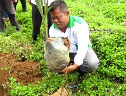 Sudarman kembali tanam pohon dan penghijauan dilapangan Dobana