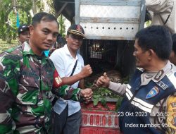 Polsek Dolok Panribuan Bantu Evakuasi Harimau Sumatera yang Terjerat Jebakan Babi Hutan