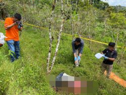 Polres Samosir Amankan di Duga Pelaku Pembunuhan Diladang Kopi Nainggolan