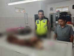 Unit Gakkum Sat Lantas Polres Simalungun Tangani Kasus Laka, Tragedi di Pagi Cerah: Gadis Kecil Tewas Terlindas Pick Up