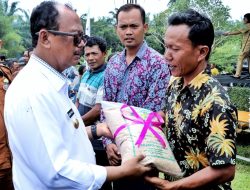 Dalam Rangka Launching Gerakan Tanam, Wakil Bupati Simalungun lakukan tanam padi perdana