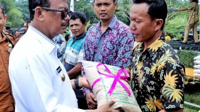 Dalam Rangka Launching Gerakan Tanam, Wakil Bupati Simalungun lakukan tanam padi perdana