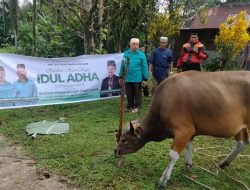 Tahun ke- 3 Berbagi Daging Kurban se- Sumut, Jam’iyah Batak Muslim Indonesia Jalin Ukhuwah Islamiyah Daerah Minoritas