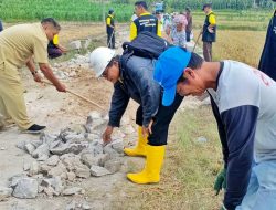 Haroan Bolon Di Kecamatan Panei, Pemkab Simalungun Gelar Pelayanan Dan Berikan Berbagai Bantuan Kepada Masyarakat