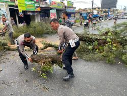 Sat Lantas Polres Pematangsiantar Evakuasi pohon tumbang di jalan lintas Asahan