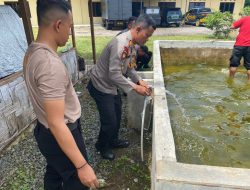 Polres Simalungun Siapkan Program Ketahanan Pangan dengan Kolam Ikan Lele, Wujud Nyata ASTA CITA Presiden