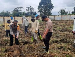 Polres Simalungun Gelar Aksi Bersih Lahan untuk Ketahanan Pangan, Tanam Ubi Celembu di Kantor Satreskrim