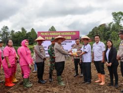 Pemkab Humbahas Ikuti Secara Virtual Launching Gugus Tugas Polri Mendukung Ketahanan Pangan Indonesia