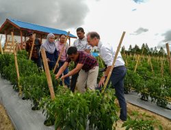 Dubes Belanda Kunjungi Lokasi Food Estate dan TSTH2 di Humbahas