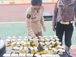 Puluhan Personel Polres Simalungun Jalani Pemeriksaan Narkoba dan IMT