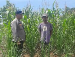 Dukung Ketahanan Pangan, Bhabinkamtibmas Polsek Siantar Marihat Sambangi Warga Binaan Manfaatkan Pekarangan