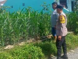 Bhabinkamtibmas Polsek Siantar Marihat Sambangi Warga Binaan Manfaatkan Pekarangan