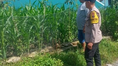 Bhabinkamtibmas Polsek Siantar Marihat Sambangi Warga Binaan Manfaatkan Pekarangan