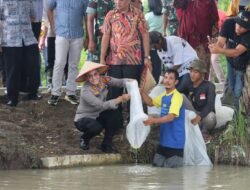 Kapolres Pematangsiantar Hadiri Pembagian Benih,Tebar Bibit Ikan dan Tanam Padi di Gunung Mulia