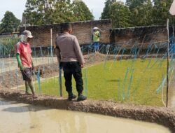 Polsek Siantar Marihat Sambangi Warga Tanam Bibit Padi Dukung Ketahanan Pangan