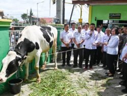 Gubsu Berikan Sapi Kurban Hari Raya Idul Adha ke Kabupaten Humbahas
