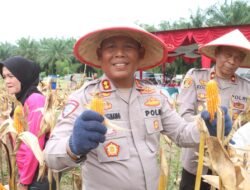 KAPOLRES SIMALUNGUN IKUT PANEN RAYA JAGUNG SERENTAK KUARTAL II 2025 DIPIMPIN PRESIDEN PRABOWO