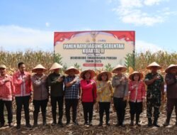 Dukung Swasembada Pangan 2025, Kapolres Pematangsiantar Bersama Forkopimda Panen Raya Jagung Kuartal II
