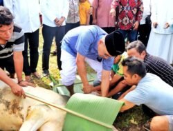 Di Perayaan Hari Raya Idul Adha 1446 H/2025 M, Bupati Simalungun Langsung Lakukan Penyembelihan Hewan Qurban