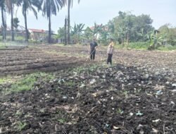 Manfaatkan Ladang Tanam Bergizi, Polsek Siantar Martoba Sambangi Warga