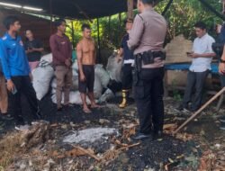 Gudang Pembuatan Arang Kebakaran Polsek Siantar Martoba Olah TKP