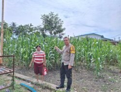 Sambangi Warga Tanaman Jagung, Polsek Siantar Selatan Ajak Warga Dukung Ketahanan Pangan