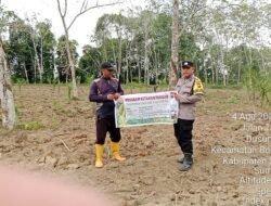 Polsek Bosar Maligas Intensifkan Pengawasan Ketahanan Pangan, Cek Lahan Jagung Program Pemerintah Seluas 1 Hektare