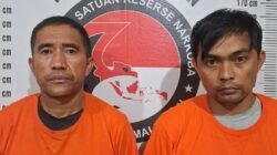 Sat Narkoba Polres Simalungun Sukses Bongkar Jaringan Sabu 3,31 Gram, Dua Pengedar Terjaring di Gubuk Sawit