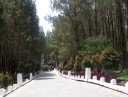 Peraturan Bupati Humbahas, Tiket Masuk Wisata Sipinsur Rp 5.000 dan Rp 2.000