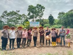 Polres Pematangsiantar Gelar Penanaman Jagung di Lahan Binaan Kapolres Dalam Mendukung Ketapang