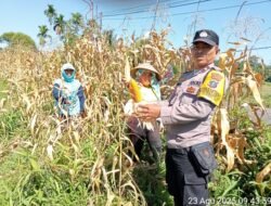 Dukung Ketapang, Poslek Siantar Marihat Sambangi Warga di Jalan Bahkora II