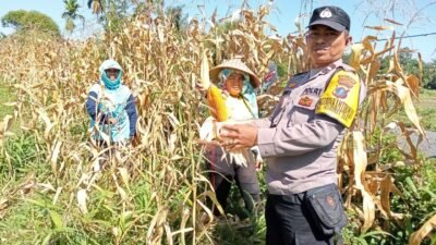 Dukung Ketapang, Poslek Siantar Marihat Sambangi Warga di Jalan Bahkora II