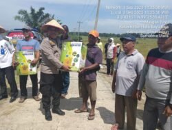Wujudkan Swasembada Pangan Presiden Prabowo: TNI-Polri Sinergi Gelar Panen Raya Padi di Simalungun
