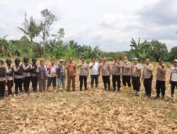 Dukung Ketapang, Kapolres Pematangsiantar cek Lahan Jagung di Kelurahan Tong Marimbun