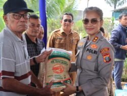 Kapolres Pematangsiantar Bersama Forkopimda Panen Padi di Dusun Matio