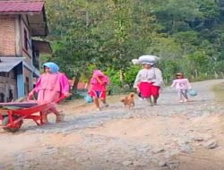 Jalan Kabupaten Rusak Dikeluhkan Warga Desa Lintong Nihuta, Kadis PUPR Samosir, Usulan Pembangunan Akan dicek di RKPD.