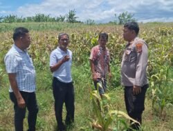 Dukung Ketapang, Kapolsek Siantar Marihat Tatap Muka dengan Masyarakat