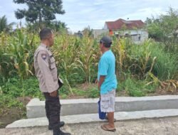 Dukung Ketapang, Polsek Siantar Marihat Sambangi Warga Bersihkan Lahan Jagung