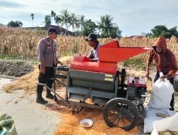 Polsek Siantar Marihat Sambangi Warga Panen Jagung