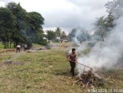 Dukung Ketapang, Kapolsek Siantar Marihat Bersama Bhabinkamtibmas Bersihkan Lahan Jagung