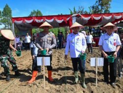 Wujudkan Swasembada Pangan, Bupati Bersama Kapolres Tanam Benih Jagung di Humbang Hasundutan