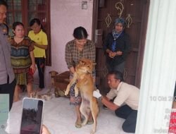 Pastikan Hewan Peliharaan Terhindar Rabies, Bhabinkamtibmas Polsek Siantar Martoba Bersama Instansi Terkait Vaksinasi Rabies.