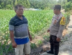 Dukung Ketapang, Bhabinkamtibmas Polsek Siantar Marihat Samban Dilahan Warga