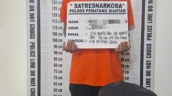 Dari Dalam Gubuk , Polres Pematangsiantar Amankan Pemilik 230 Gram Ganja