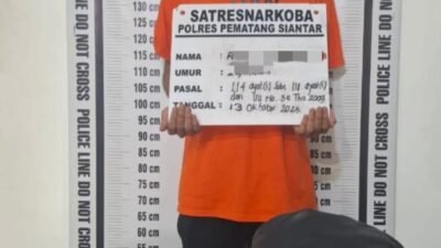 Dari Dalam Gubuk , Polres Pematangsiantar Amankan Pemilik 230 Gram Ganja