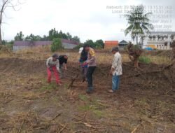 Dukung Ketapang, Bhabinkamtibmas Polsek Siantar Martoba Bersama Masyarakat Tanam Jagung