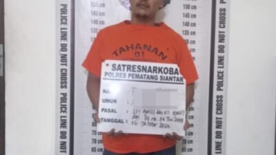 Komitmen Pemberantasan Penyalahgunaan Narkoba, Polres Pematangsiantar Amankan Residivis Miliki Ganja