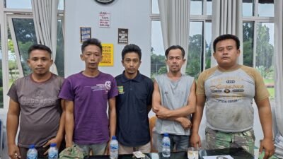 Jatanras Sat Reskrim Polres Simalungun Kembali Beraksi, Ringkus 5 Bandit Pencuri TBS di PTPN-4